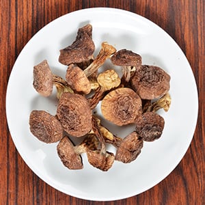 Agaricus blazei murrill mushroom helps support the immune system.