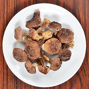 What are the Benefits of the Agaricus blazei Murrill Mushroom?