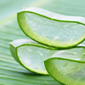 Acemannan Is a polysaccharide found in aloe vera leaves.