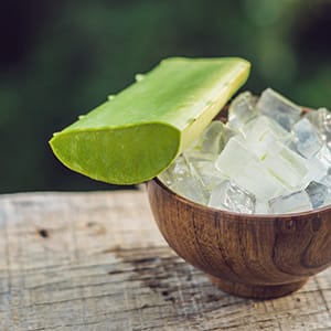 A bowl of aloe vera.