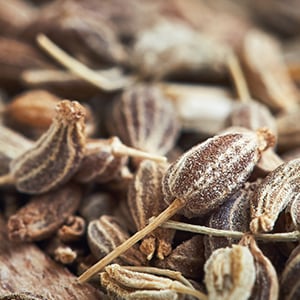 A couple of anise seeds on a wooden board.