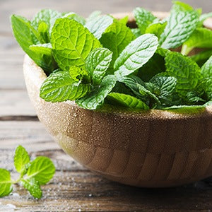 A bowl of fresh peppermint leaves. Vitamins and Minerals Are One of Many Benefits of Peppermint Leaf.