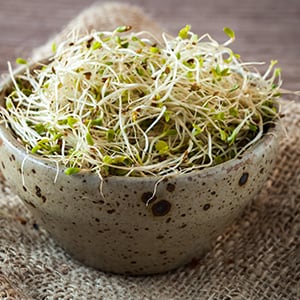 Cellulase can be in foods such as sprouts and herbs.