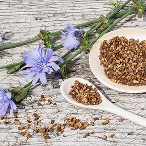 Chicory root helps fight against harmful organism and it's great for digestive support.