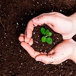 A person holding soil in their hand. Composting is one way that we can give back to our natural world.