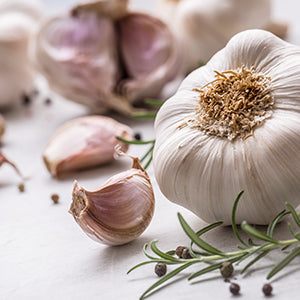 A garlic glove and bulb. Garlic can reduce liver injury and inflammation.