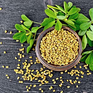 A bowl of the fenugreek plant.