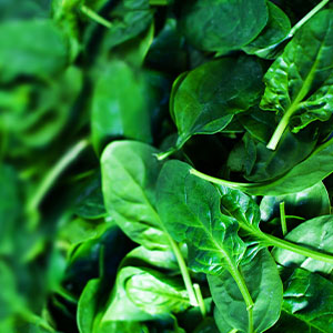 A bowl of spinach leaves, which is a food high in folate.