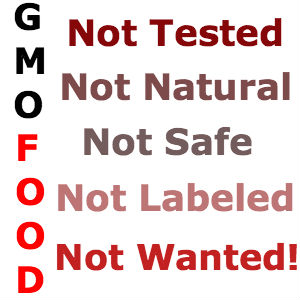 GMO Food