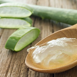 A spoon of aloe vera. Growing your own aloe vera is better than buying it at the store.