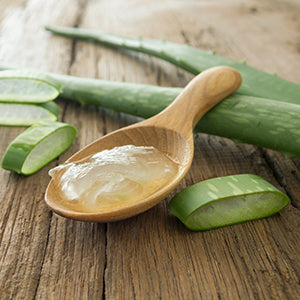 Health Benefits of 13 Species of Aloe