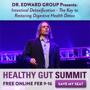 Healthy Gut Summit