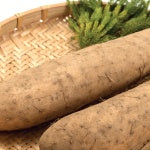 A tray of wild yam. Menopause can affect daily activities and mood. Here are 5 beneficial herbs for menopause that I recommend.