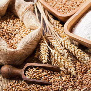 Multiple Grains in sacks with other ingredients in wooden bowls.