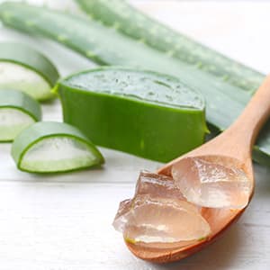 A cut up aloe plant.