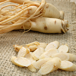 Slices of Korean ginseng.