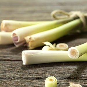 One of the many Lemongrass benefits is that it&#039;s a source of beneficial phytochemicals and it also helps boost the immune system.