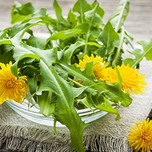 Dandelion leaf can help with liver stones by cleansing the liver.