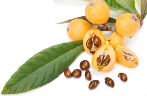 loquat-fruit-and-leaf