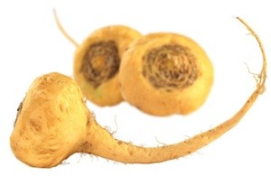 Maca root