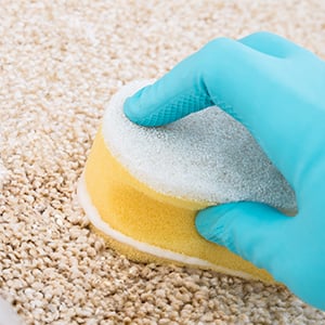 Organic carpet cleaners are safer on the carpet and for the environment.