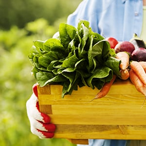 Organic Food is a healthier option than processed food.