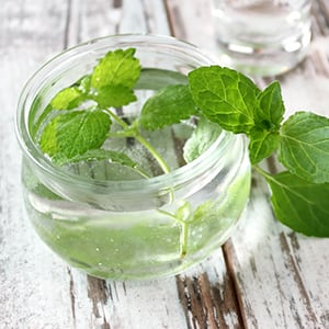 A bowl of peppermint leaves in a carrier oil.