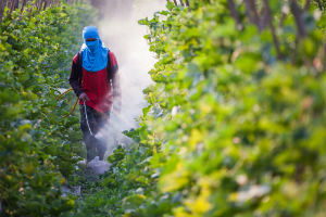 pesticides-petition