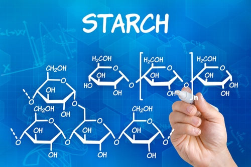 Polysaccharides are molecular strands that play an important role in our bodies. Starch is a type of polysaccharide that helps store the energy we obtain from consuming food.