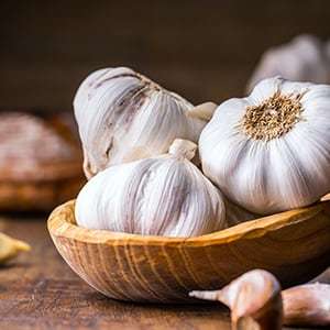 Prebiotics can be found in garlic.