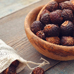 A bowl of soap nuts. Soap nuts are useful in the remediation of contiminated soil and extremely useful in treating lice.