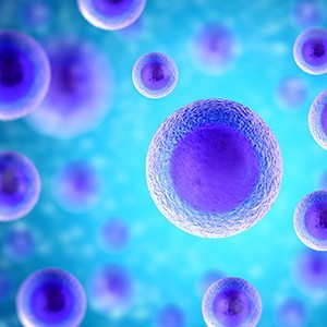 The human body has about 65 million active stem cells in the blood stream.