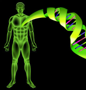 animation-of-telomeres-dna