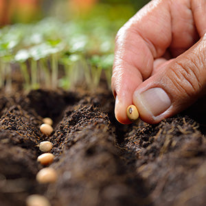 Ingredient Traceability – What It Is and Why It Matters
